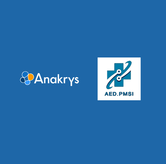 Logo AED-PMSI-Anakrys